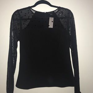 Black Ann Taylor Sheer Sleeved top